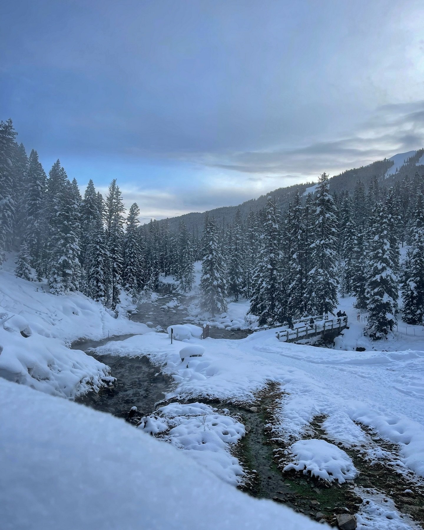 Oh how we love winter in Jackson☃️