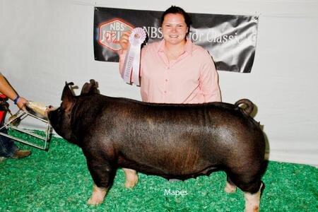 NBS Reserve Jr. Gilt.jpeg
