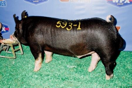 WPX Class winner.jpeg