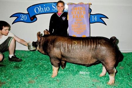 OSF Reserve Boar.jpeg