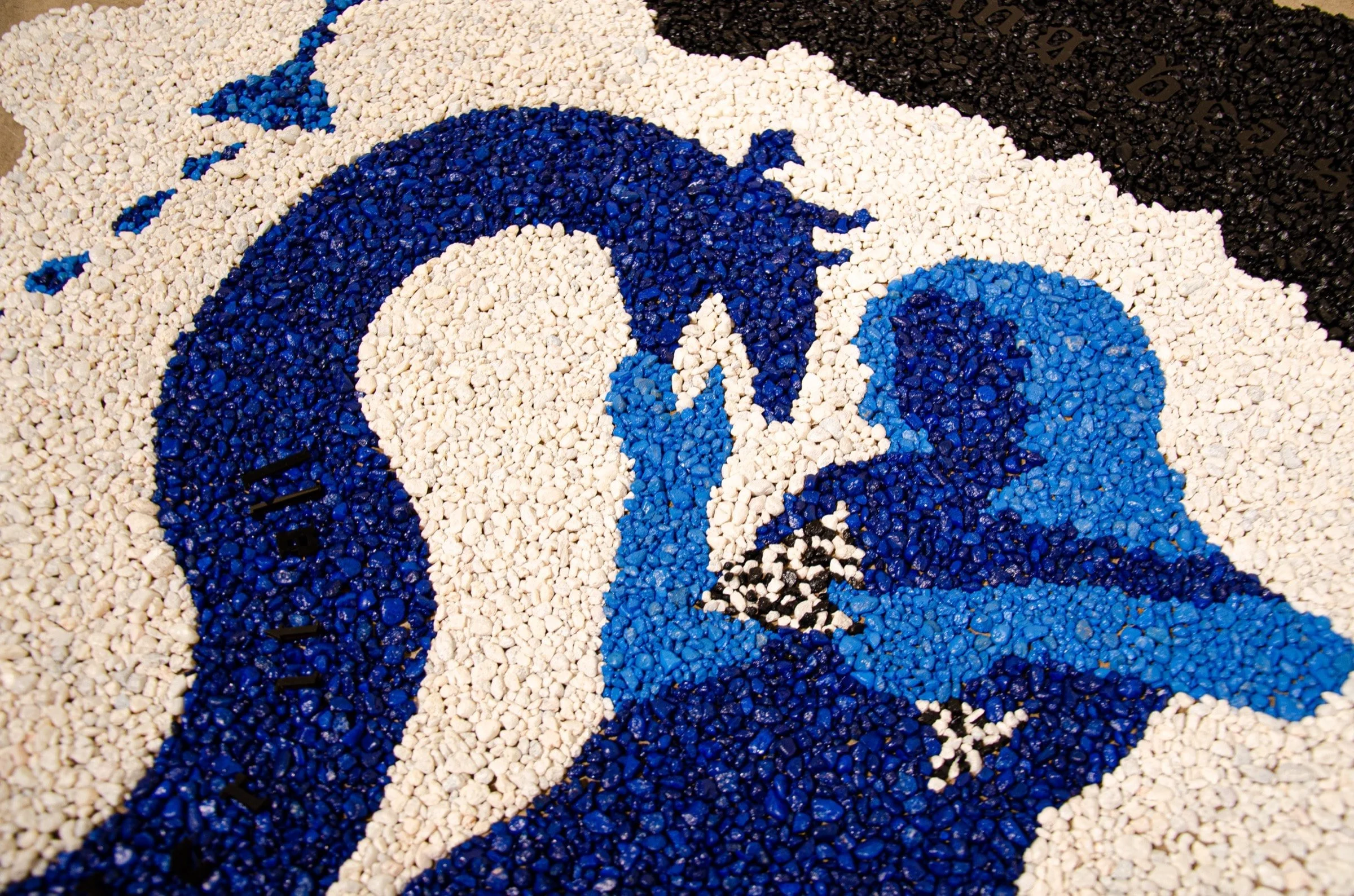 beguiled body 6 copy 2.jpg