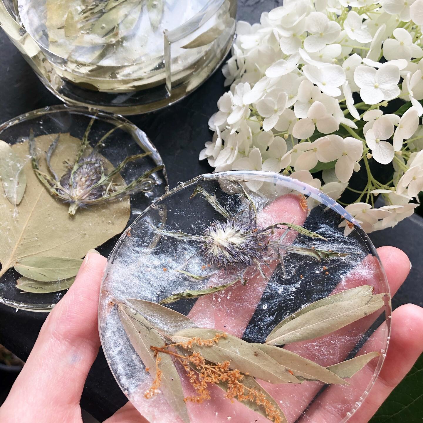 ✨Blue Thistles &amp; Eucalyptus in a set of Slice Coasters with a Holder ✨ 

Did you have blue thistles or eucalyptus in your wedding bouquet? These two plants can really hold their colour and form over the years! 

💐These coasters were made from an