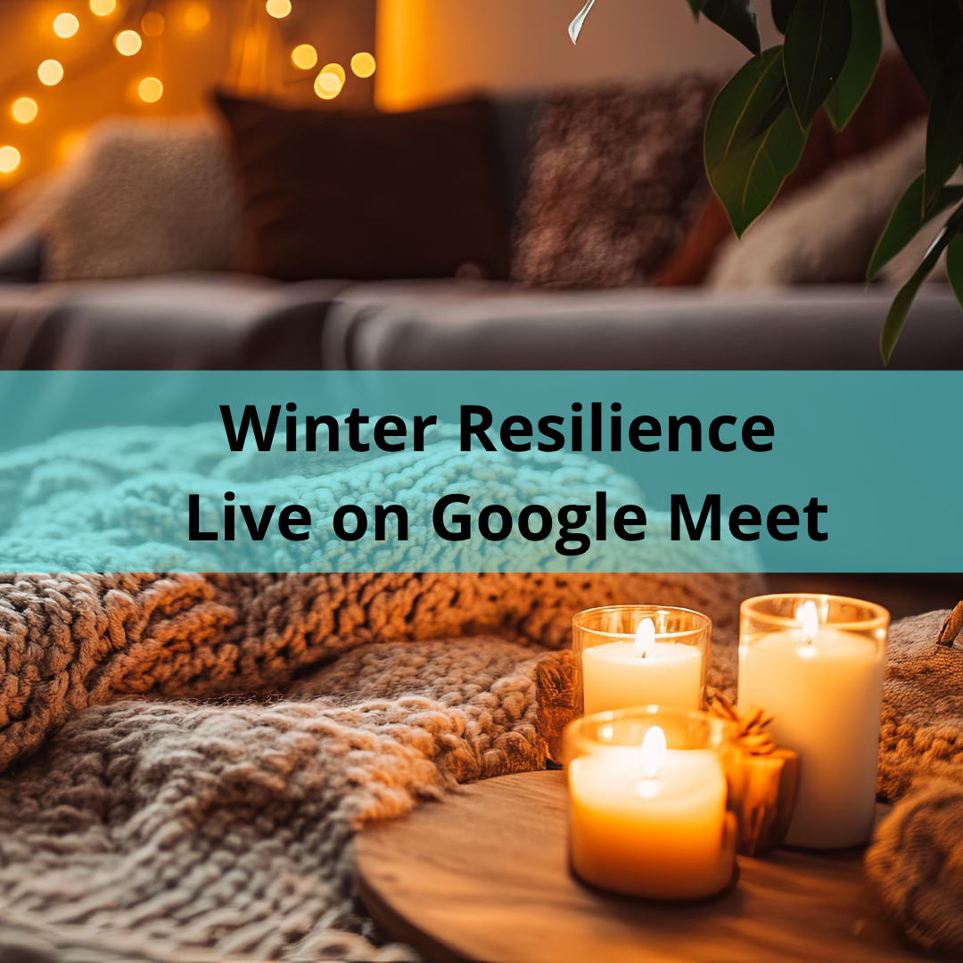 Winter Resilience: The Neuro-Toolkit for Holiday Stress & Emotional Fatigue