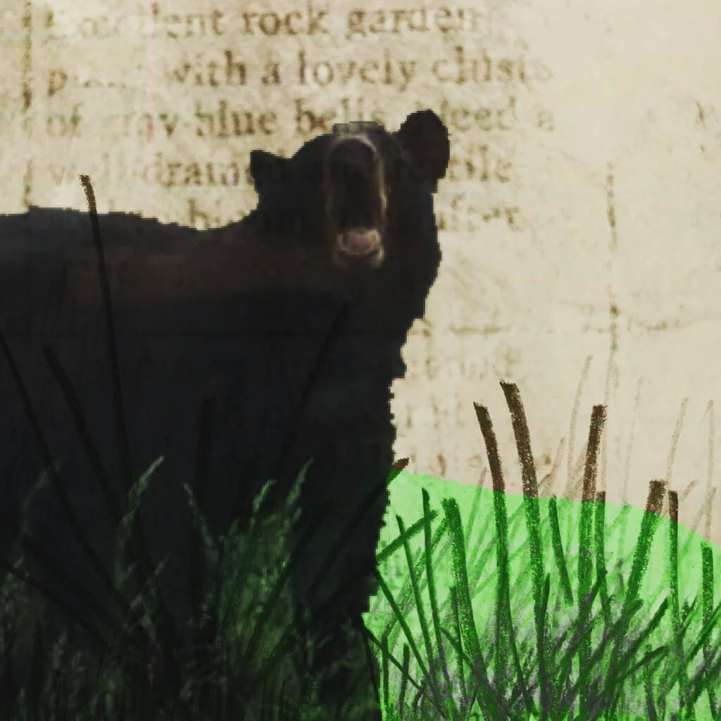 The Grief Inside Trauma