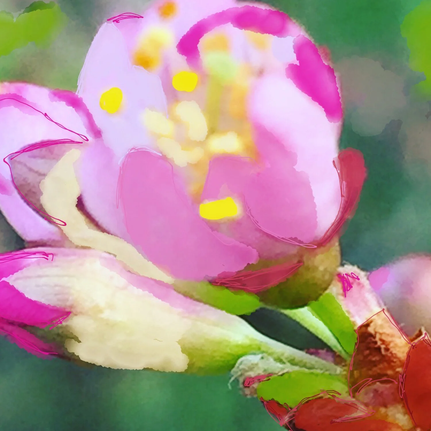 I Am Looking to the Flowers