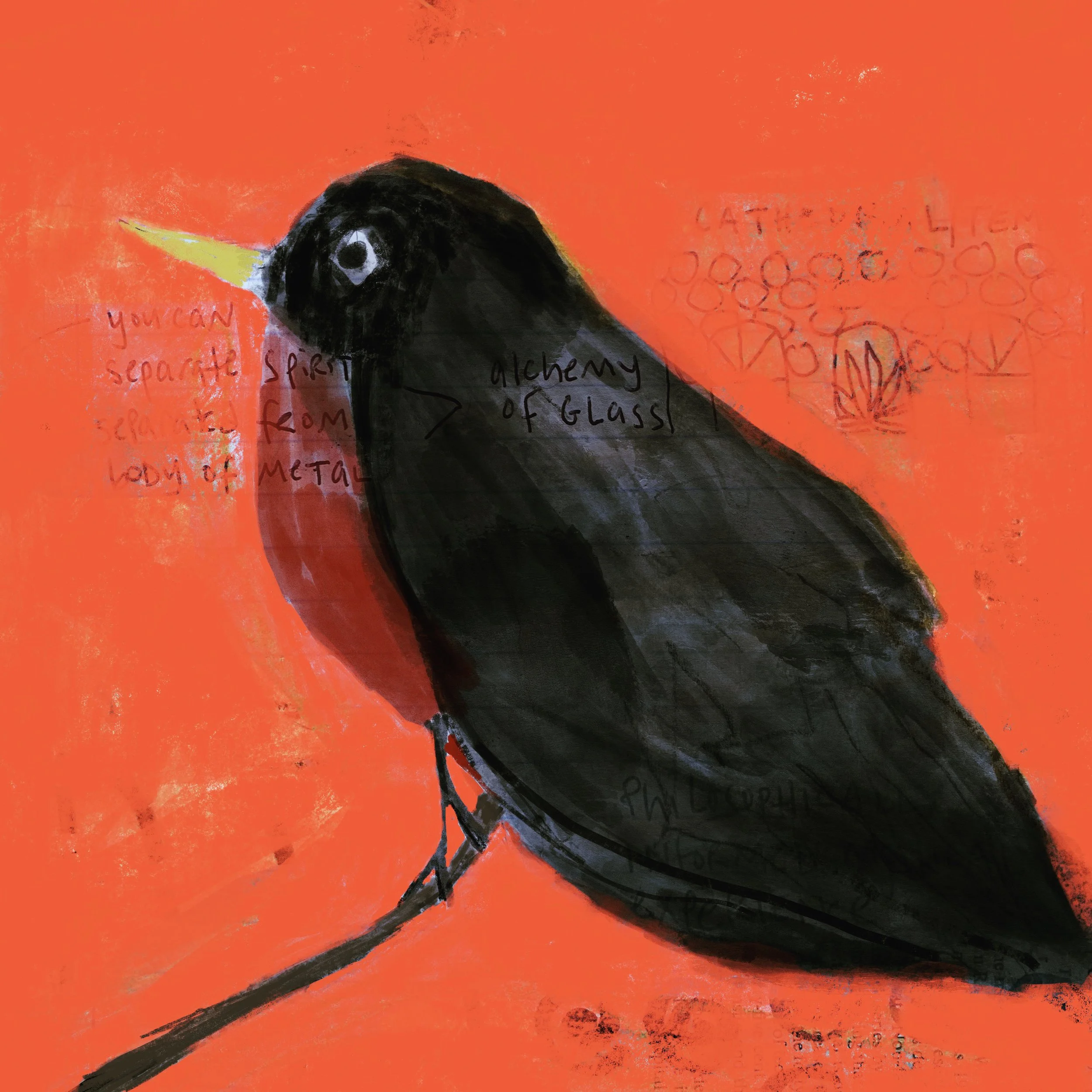 You Will Want to Remember