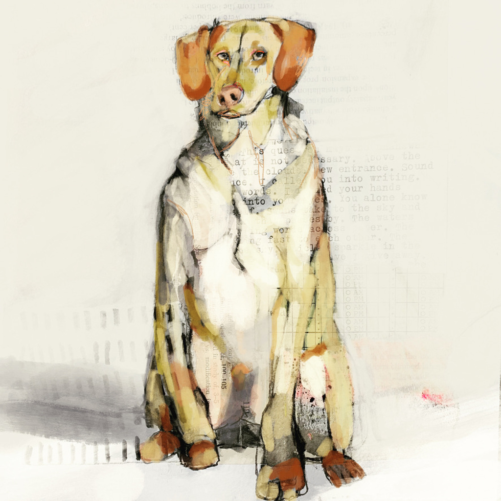 100 DOGS