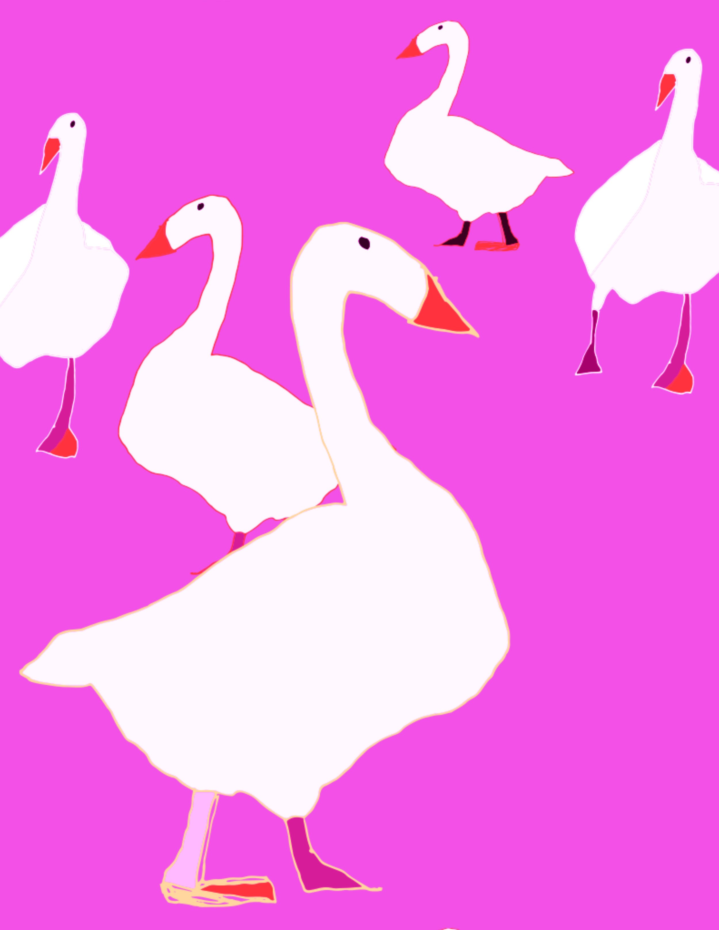 Pink Geese Paper.jpg