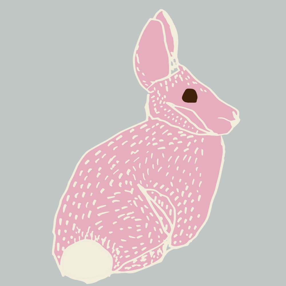 BunnySquare.jpg