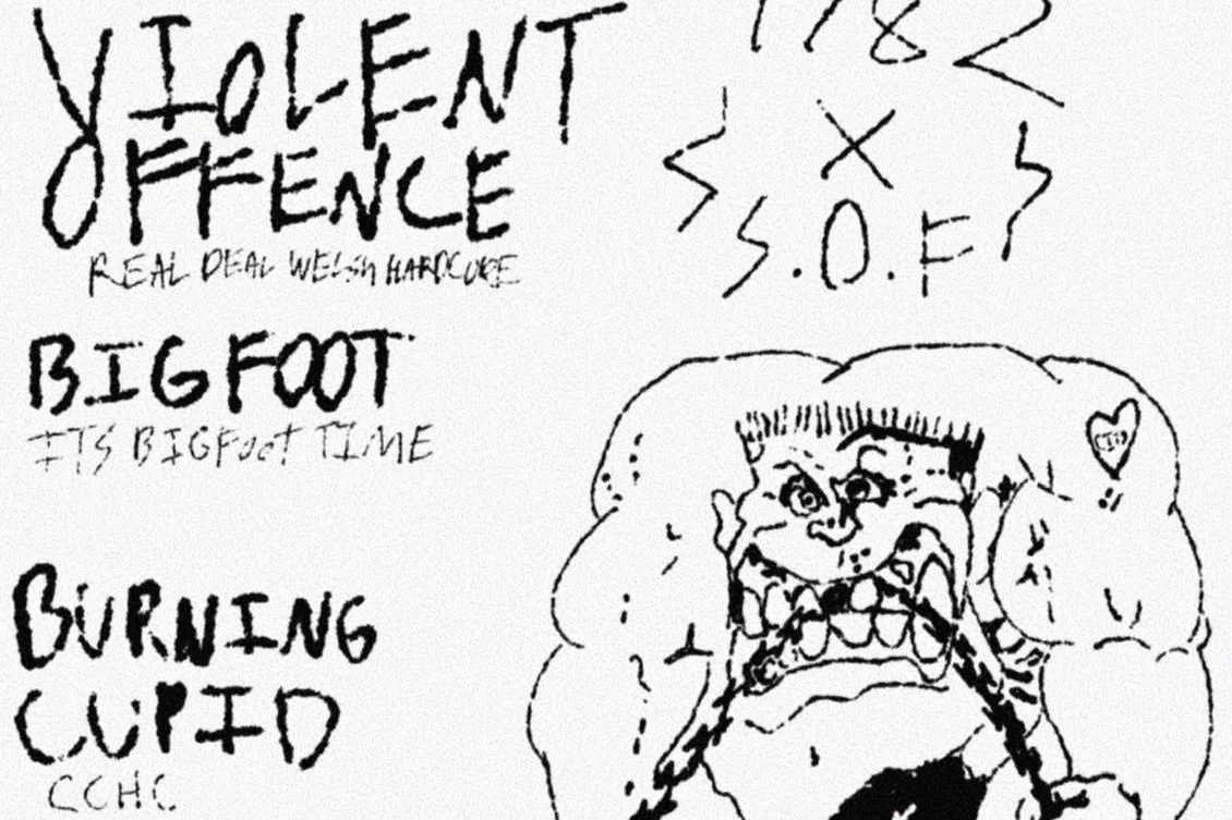 VIOLENT OFFENCE