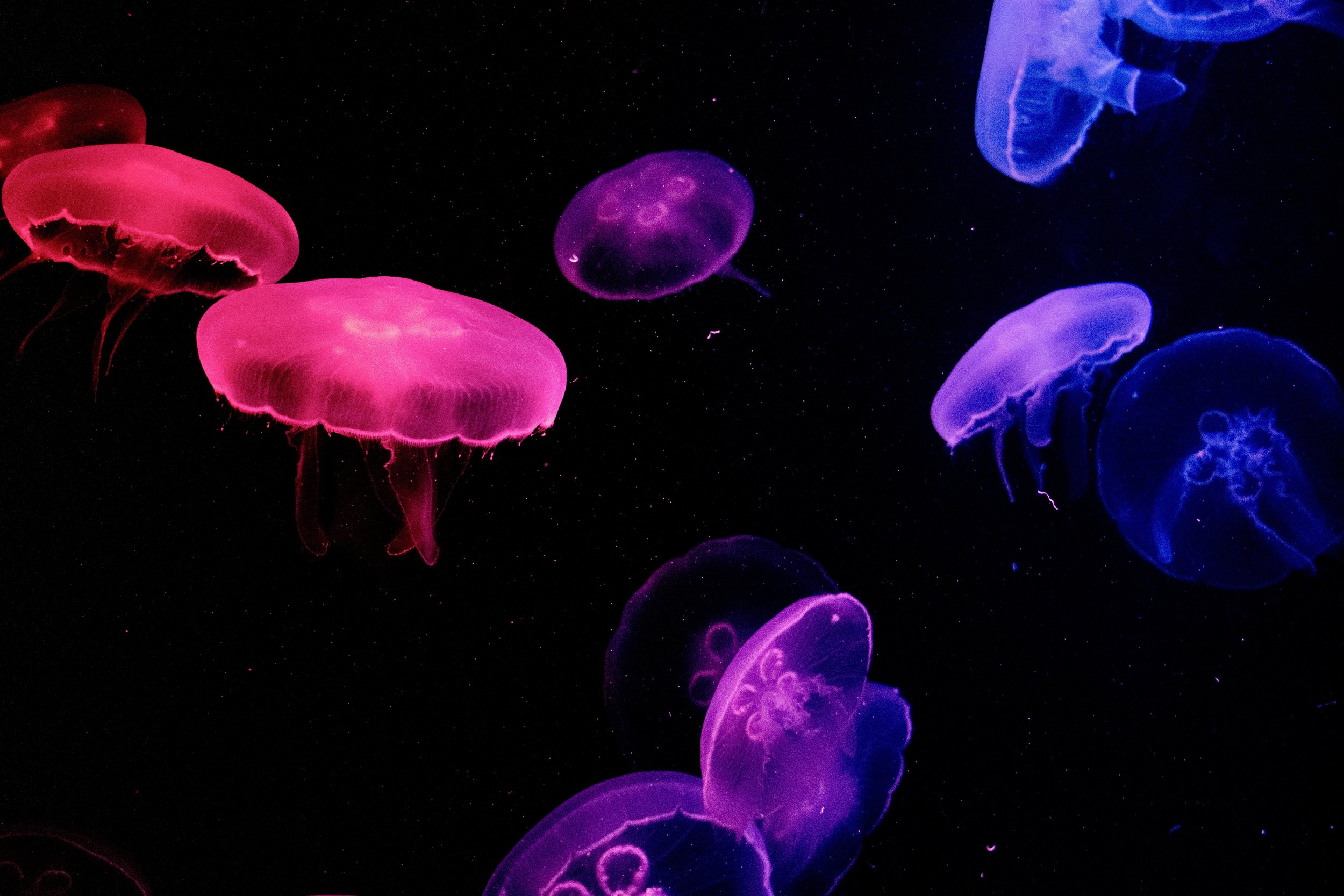 Welcome to our new website