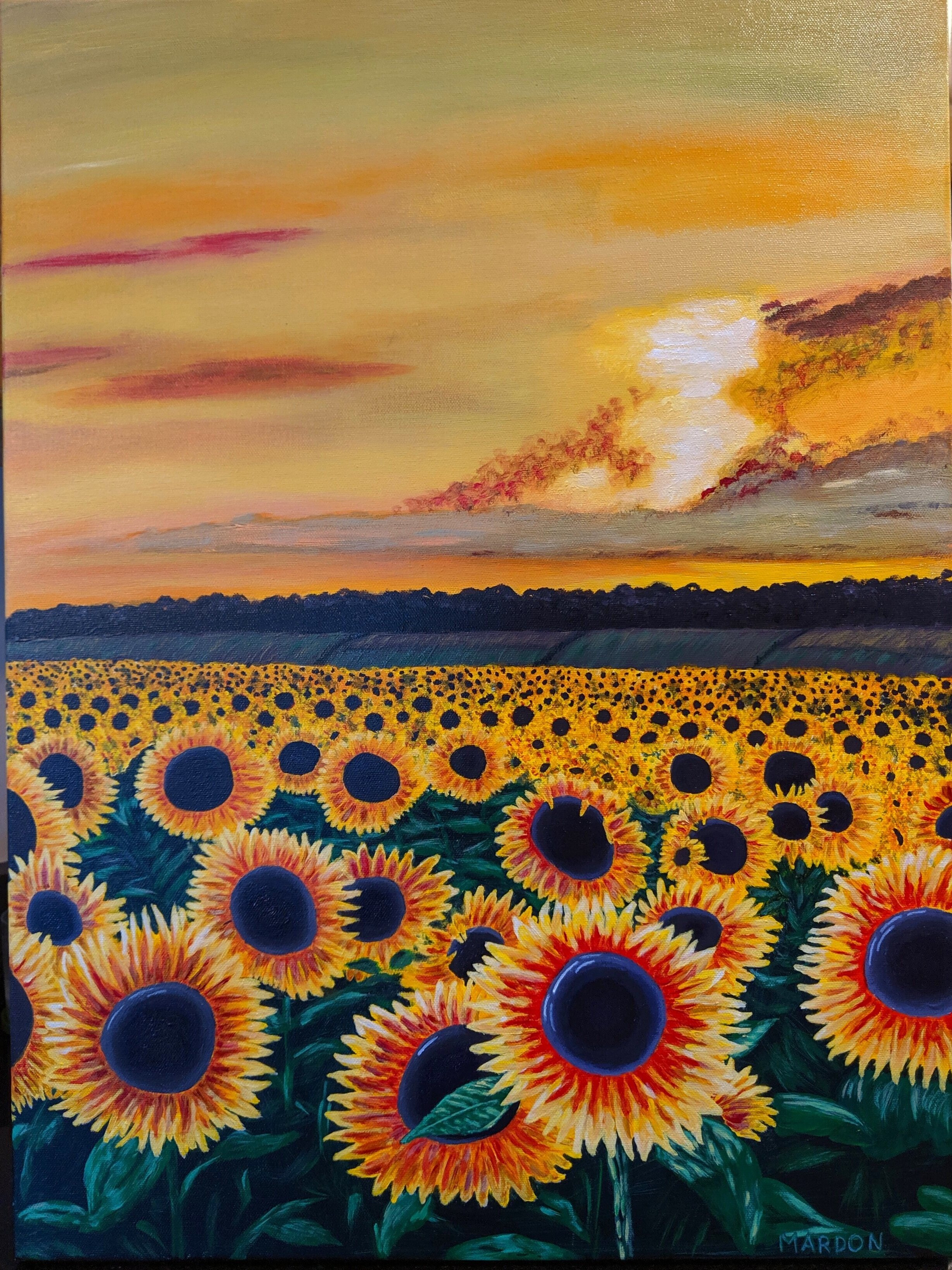 Field of Sunflowers