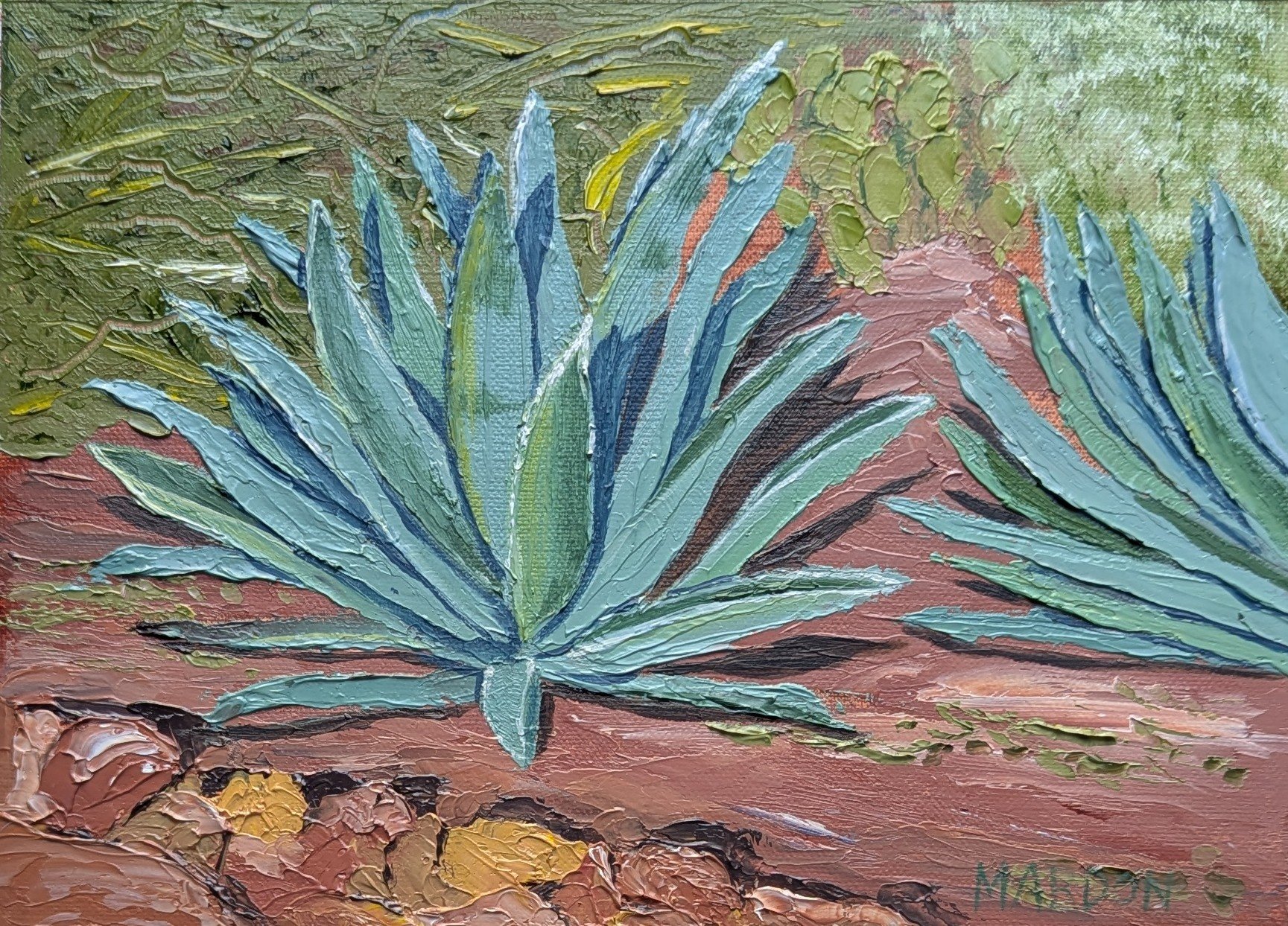 Agave
