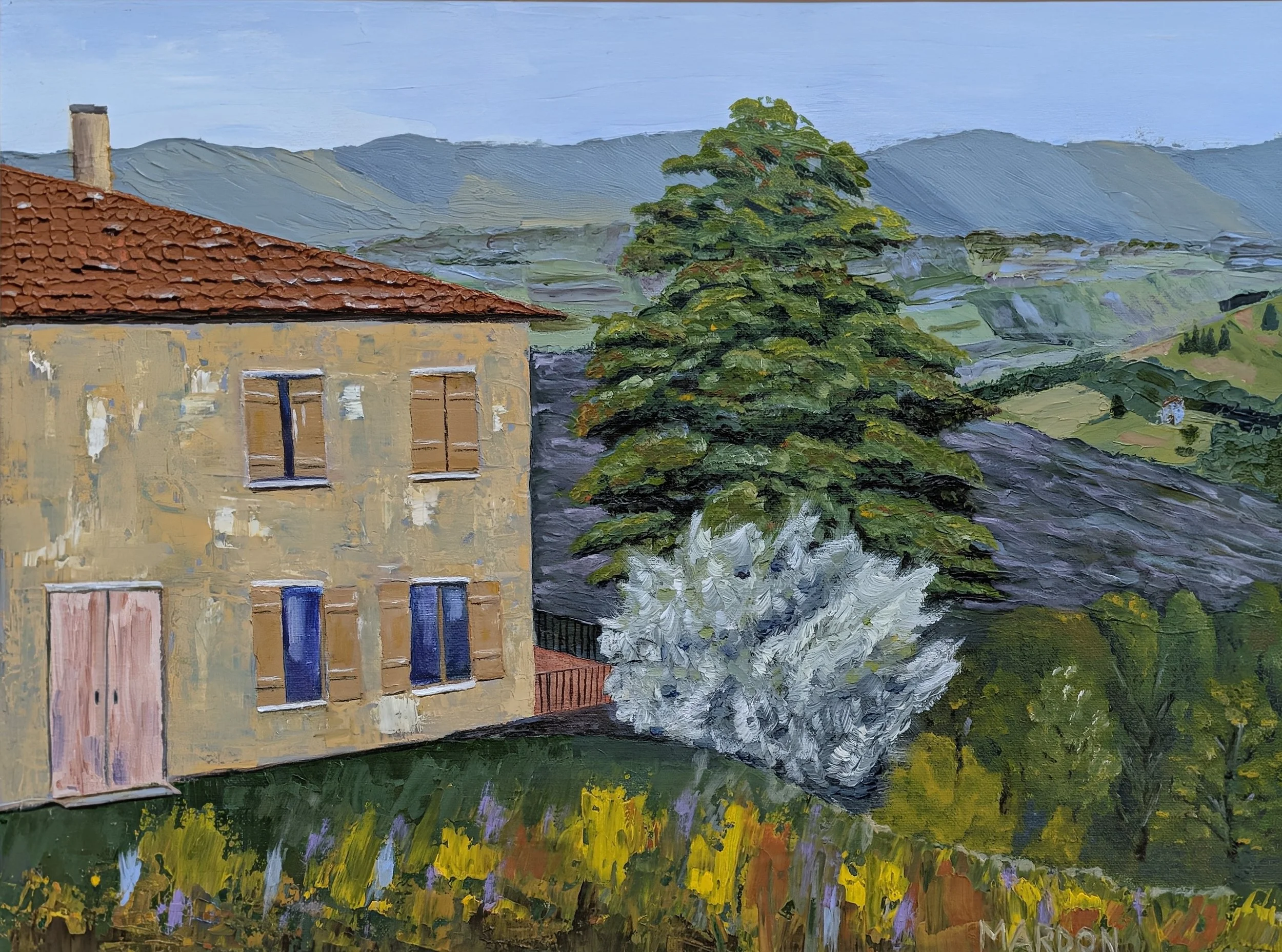 Rhone Valley Vineyard