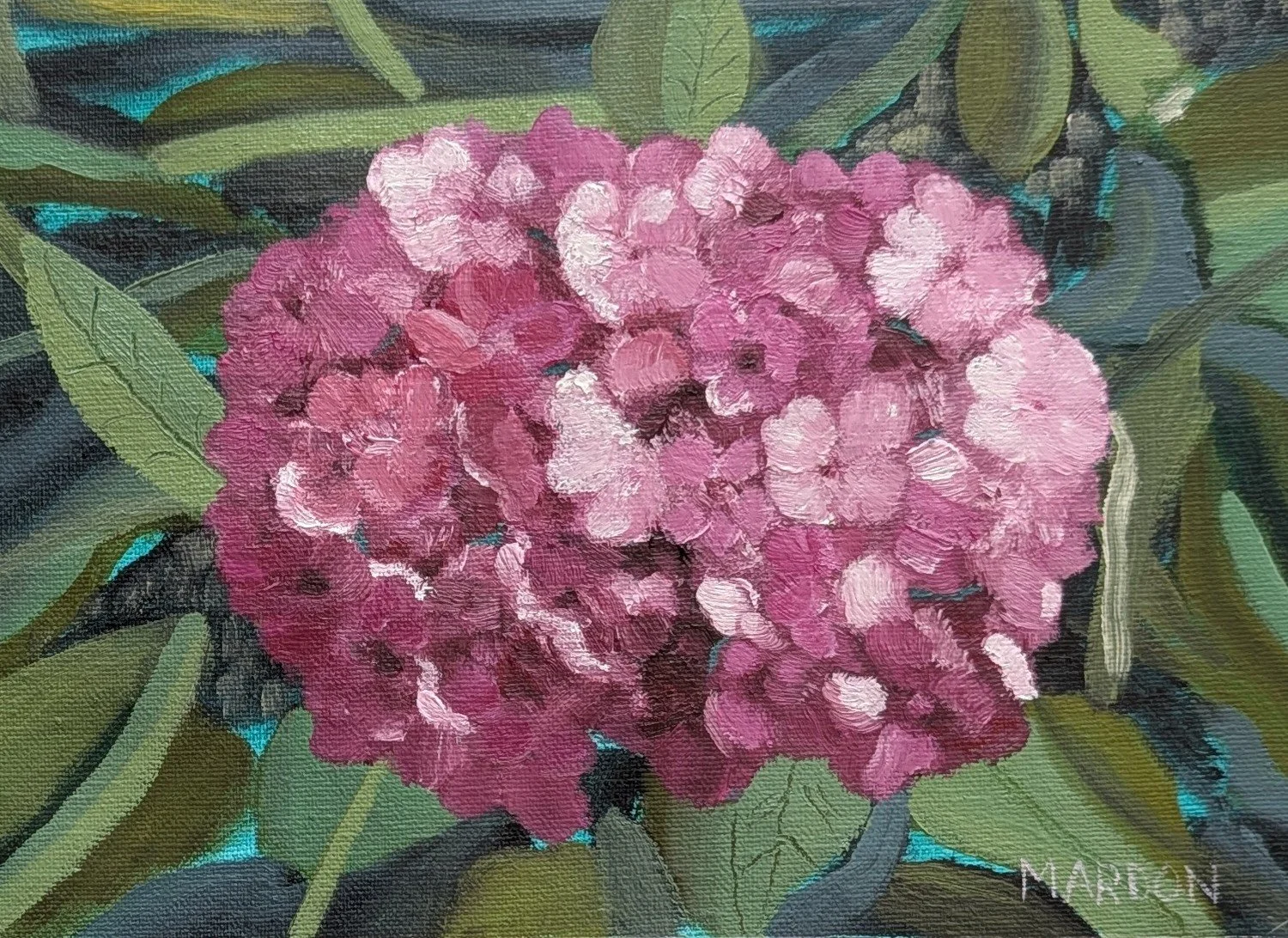 Pink Hydrangea