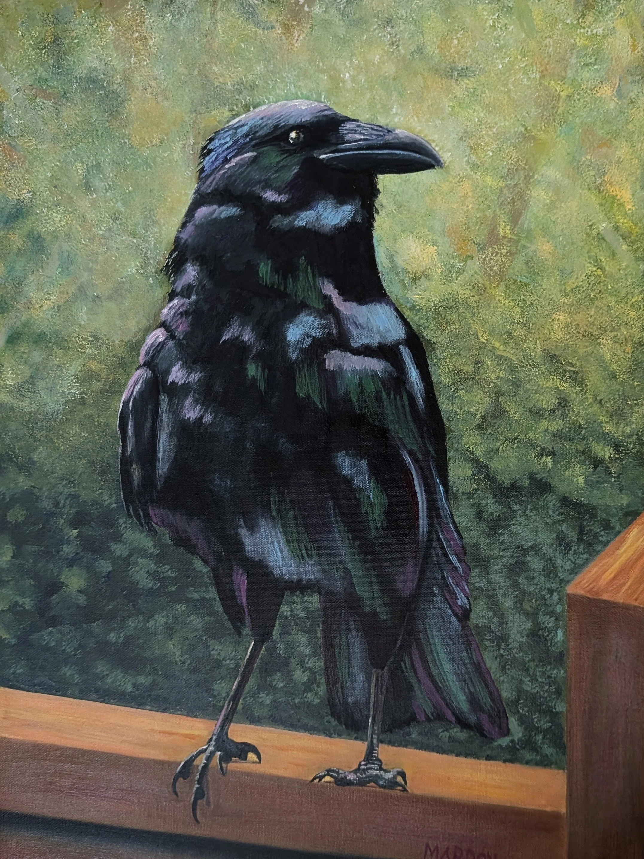 Crow Stopped By