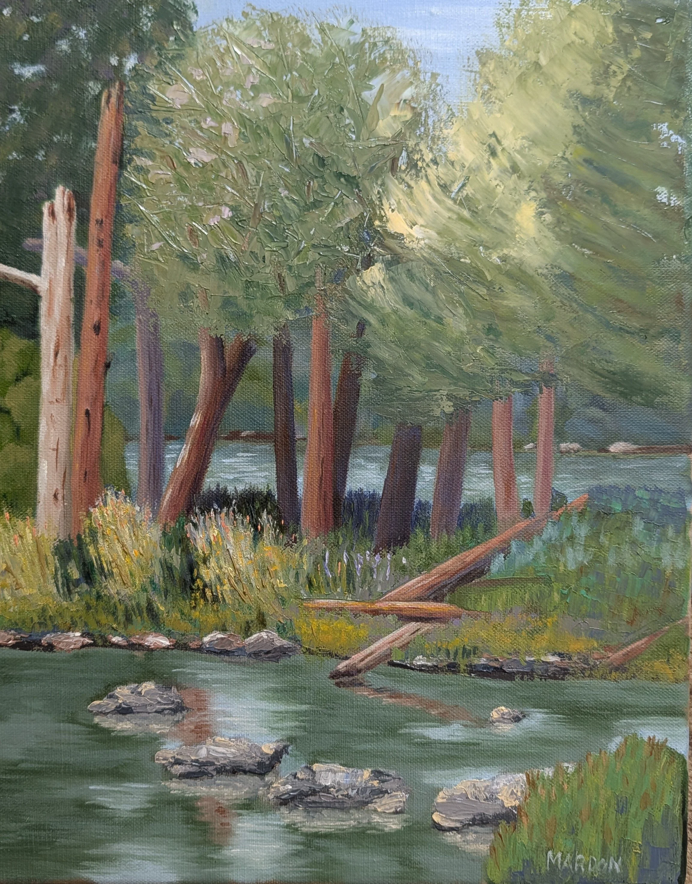 Potomac Shallows