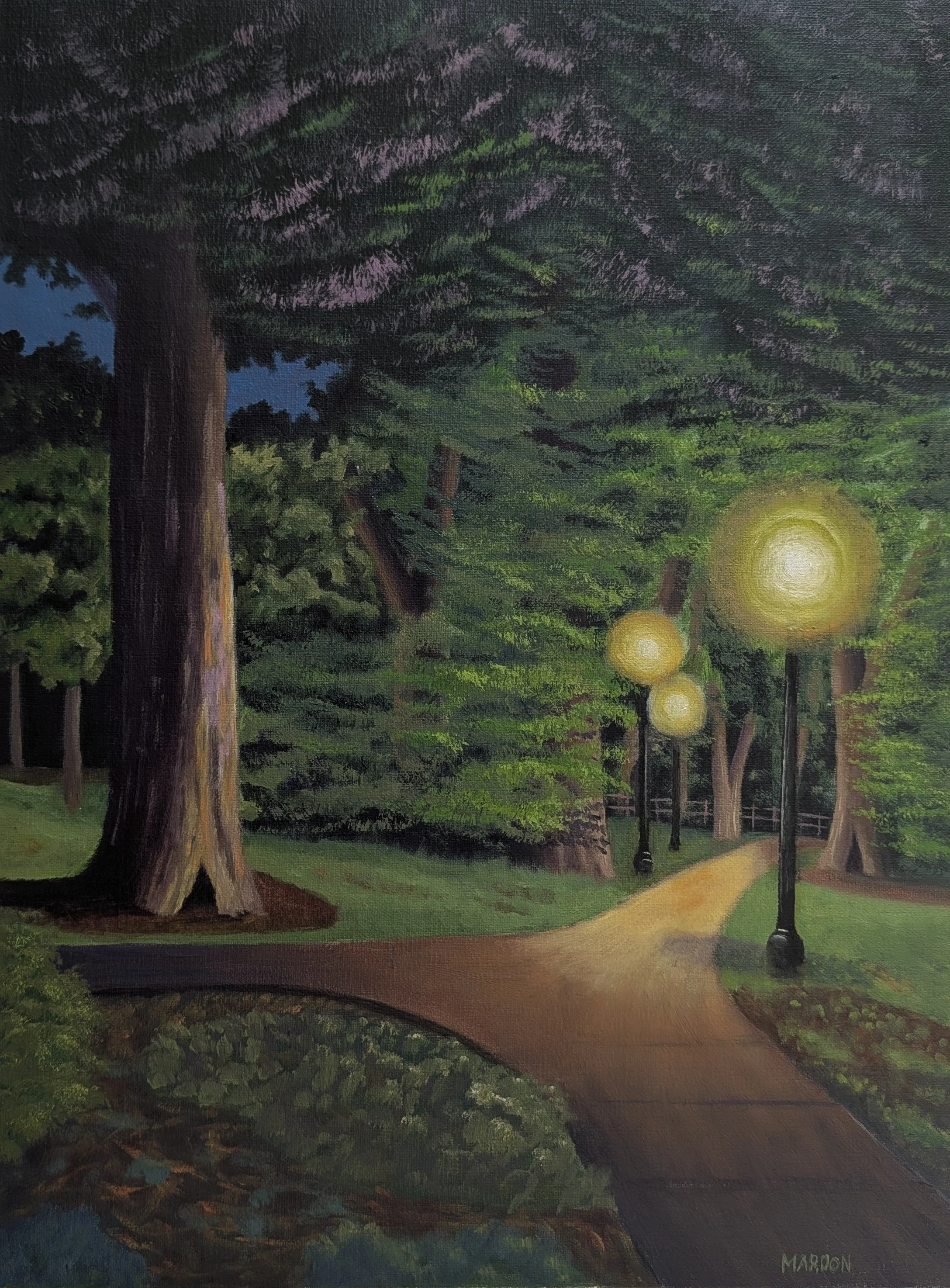 Frady Park After Dark