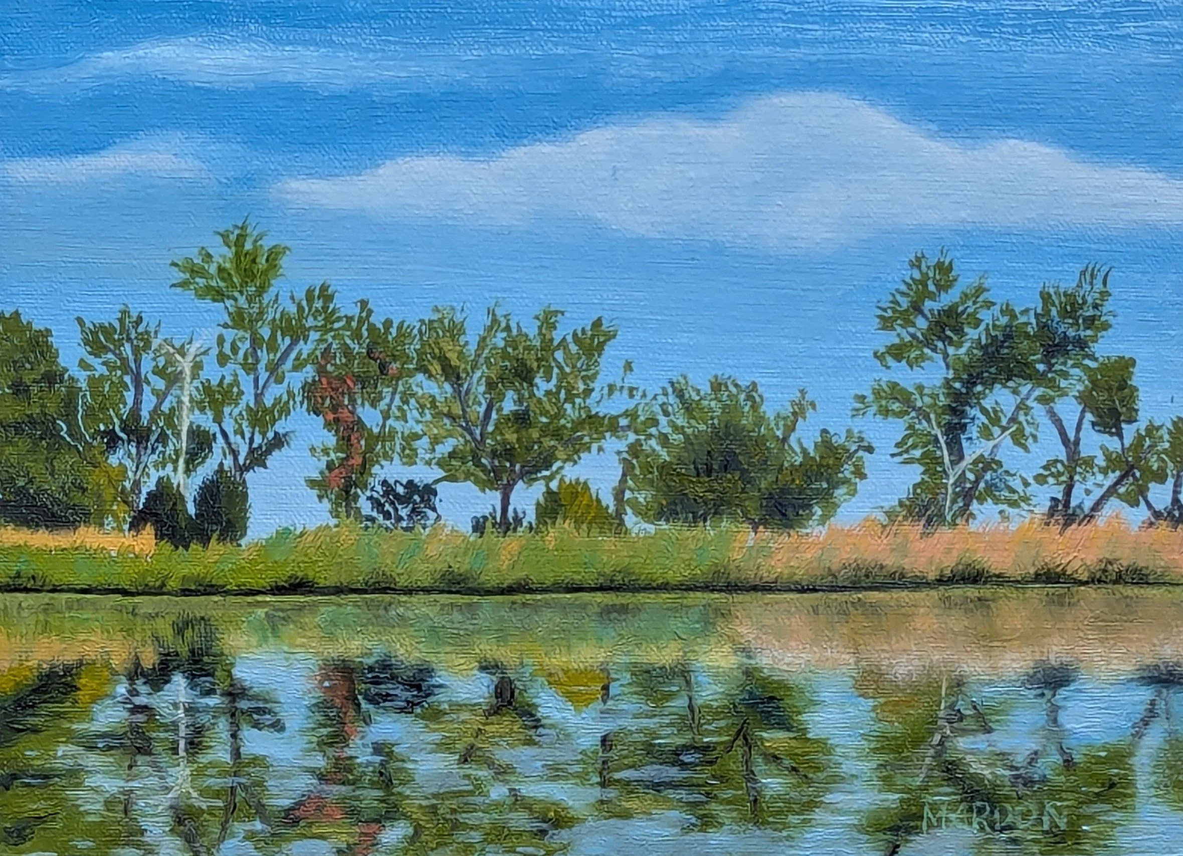 273 - PXL_20260123_170801186~2.jpg