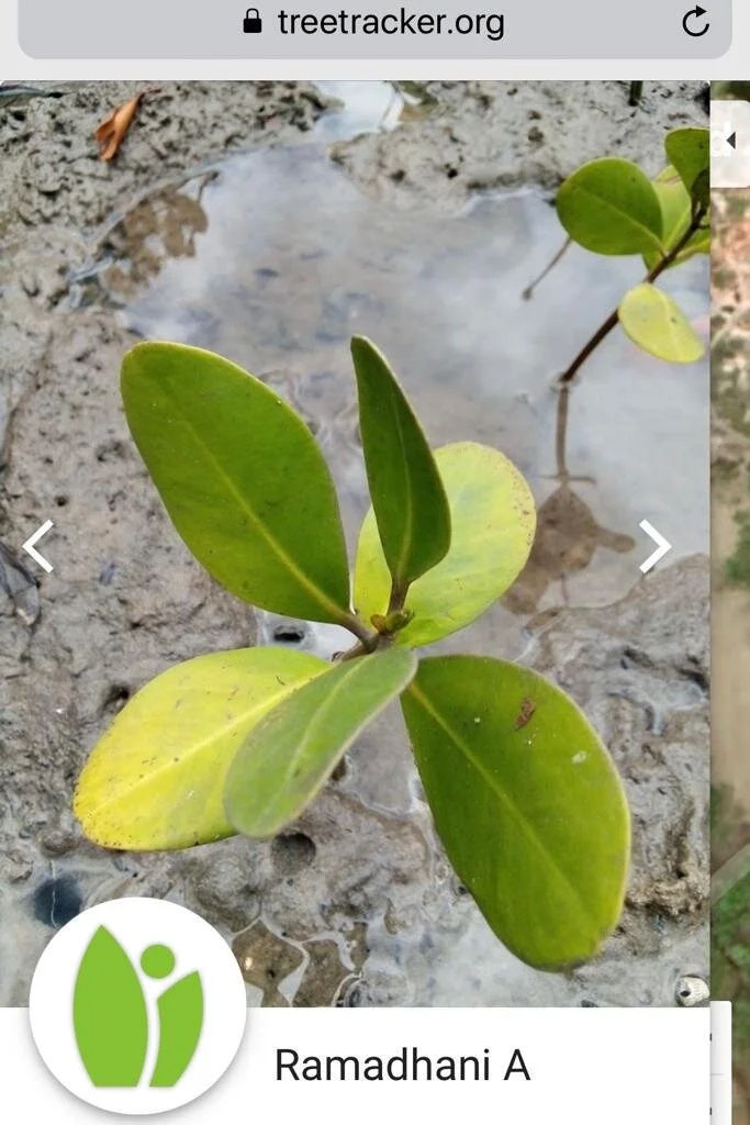 WhatsApp Image 2020-12-22 at 8.59.07 AM.jpeg