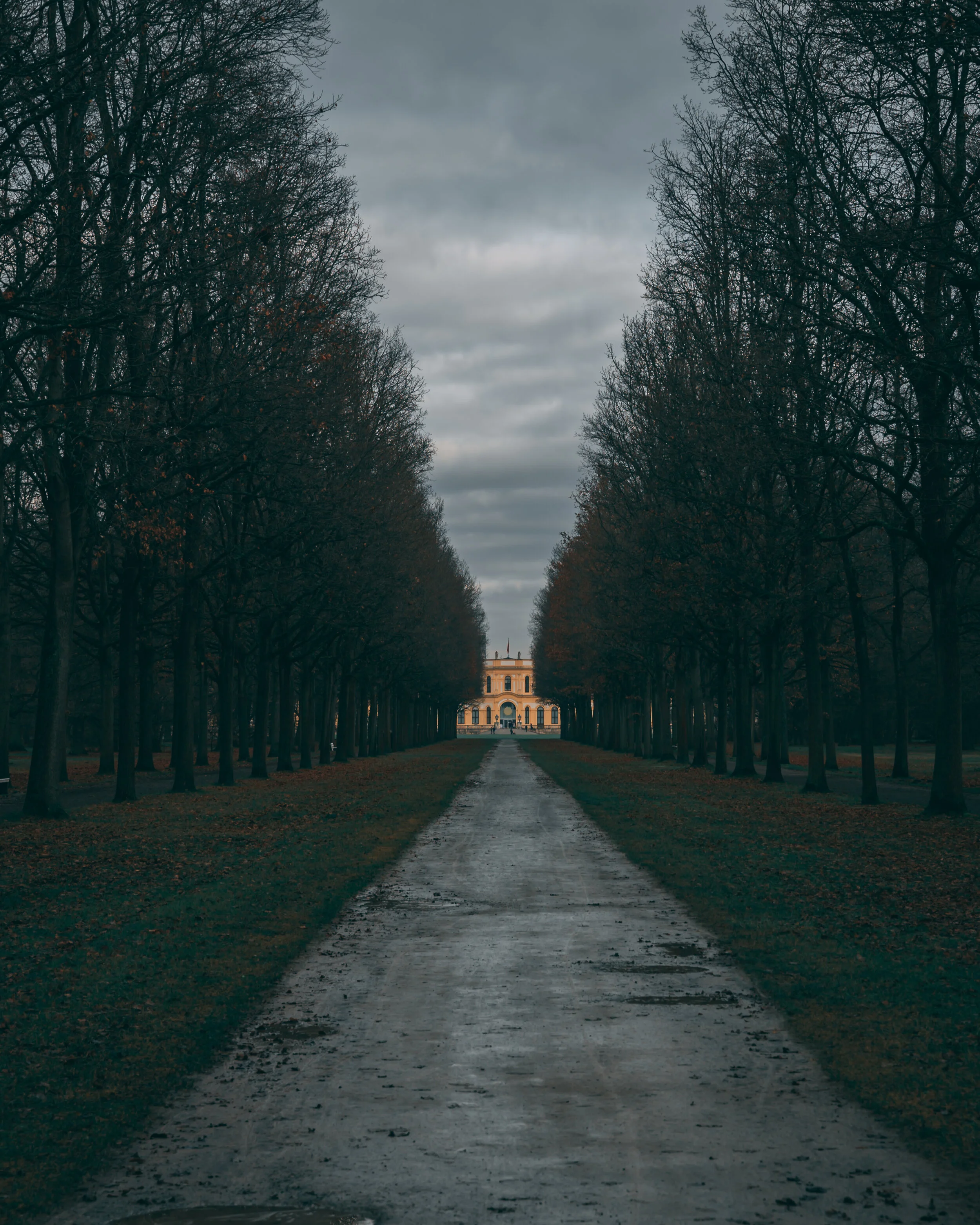 Karlsaue Park in Kassel, Germany by Agon Syla
