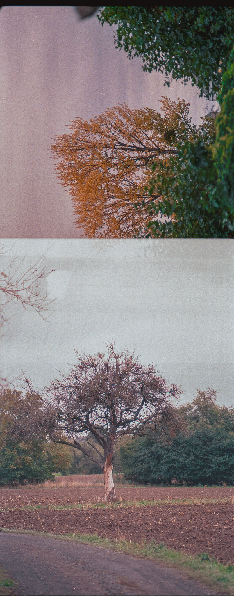 201023_Koblenz_DE_Film_721614_KodakUltraMax4002.jpg