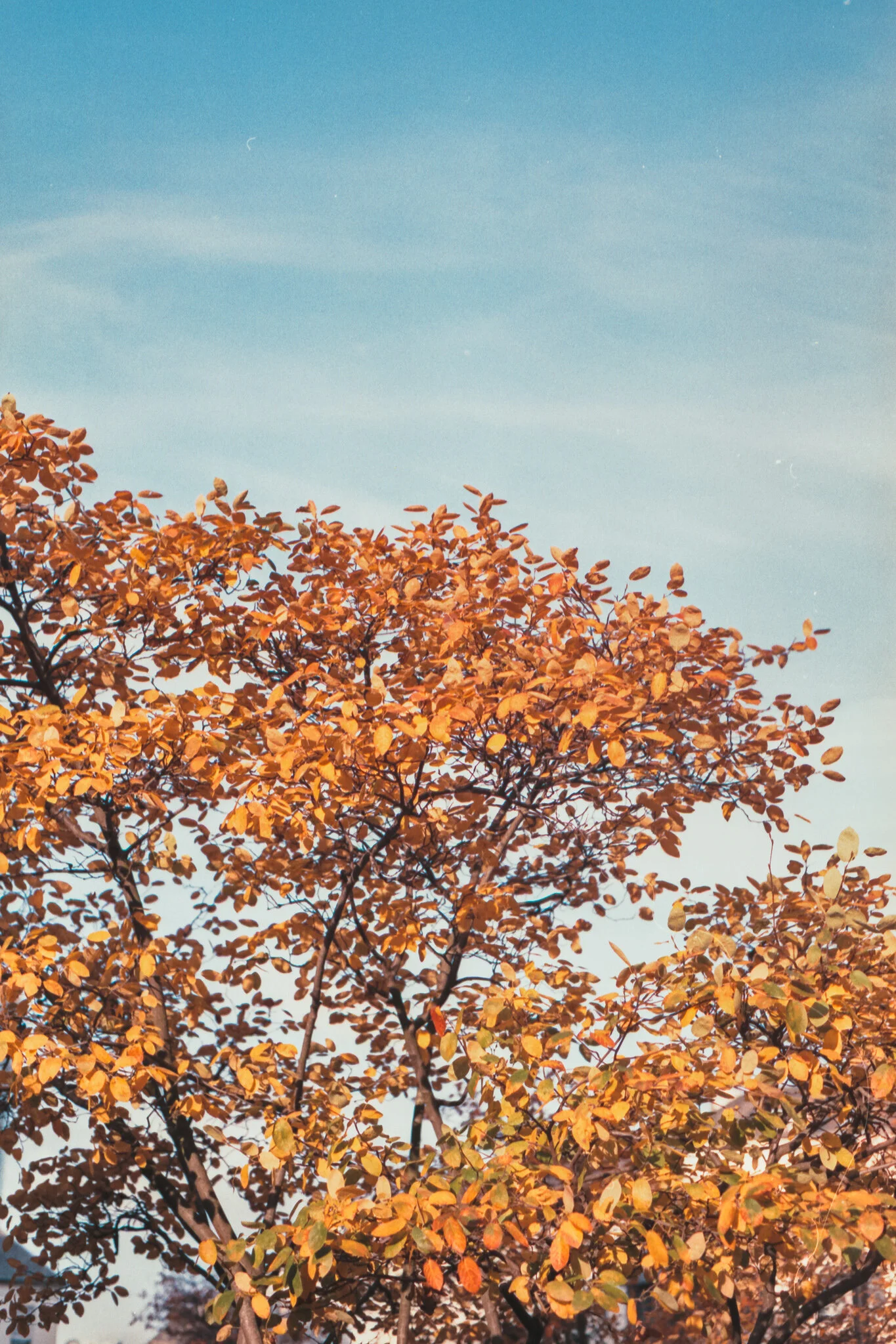 Film_721623_Strip_6 (5)-4.jpg