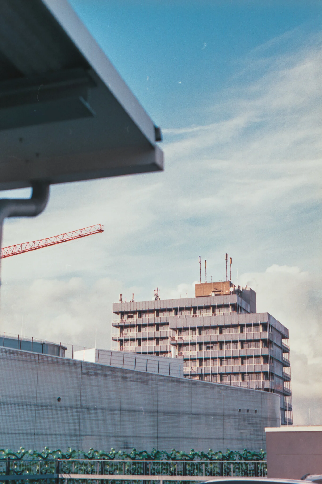 Film_721623_Strip_6 (5).jpg