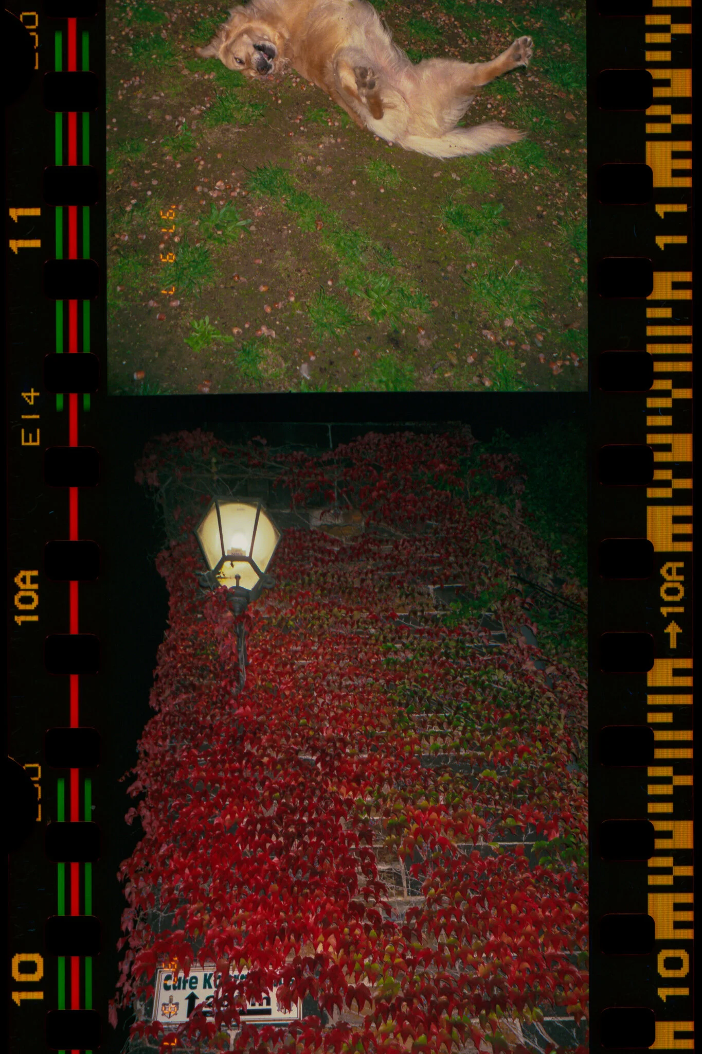 Film_736250_Strip_10_13.jpg