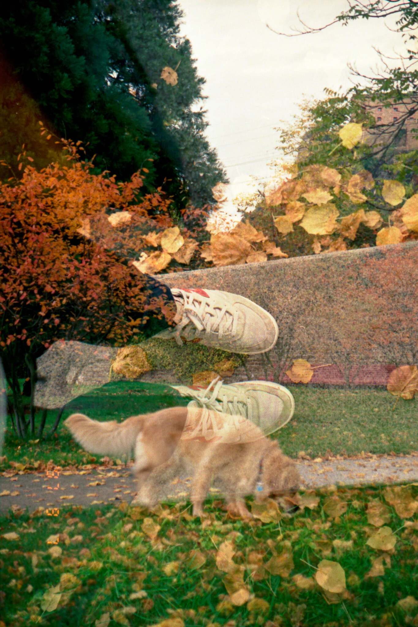 Film_736250_Strip_30_33.jpg