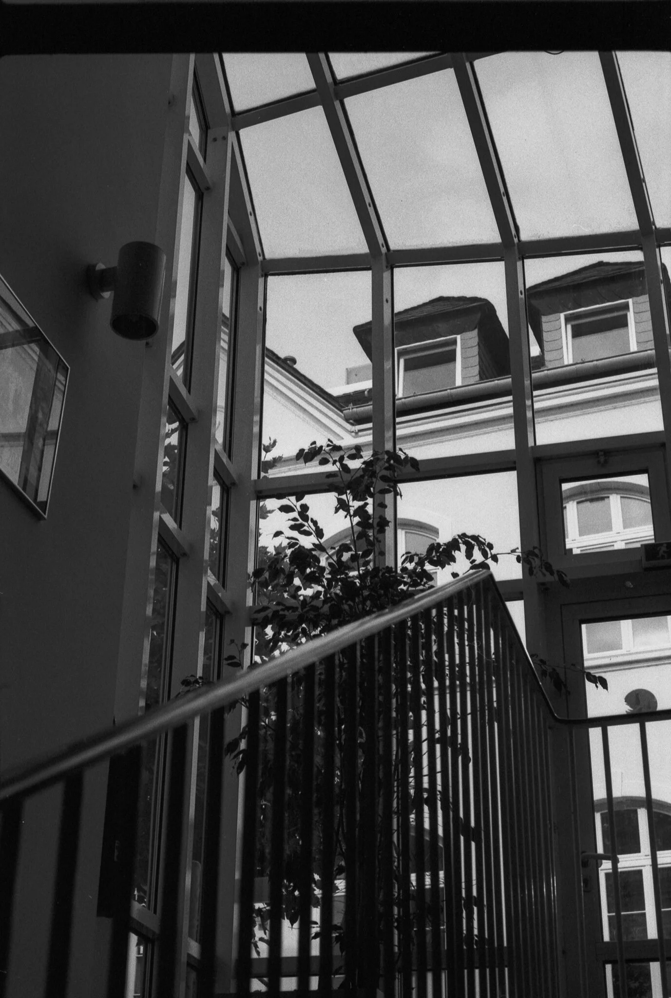 bw  54.jpg