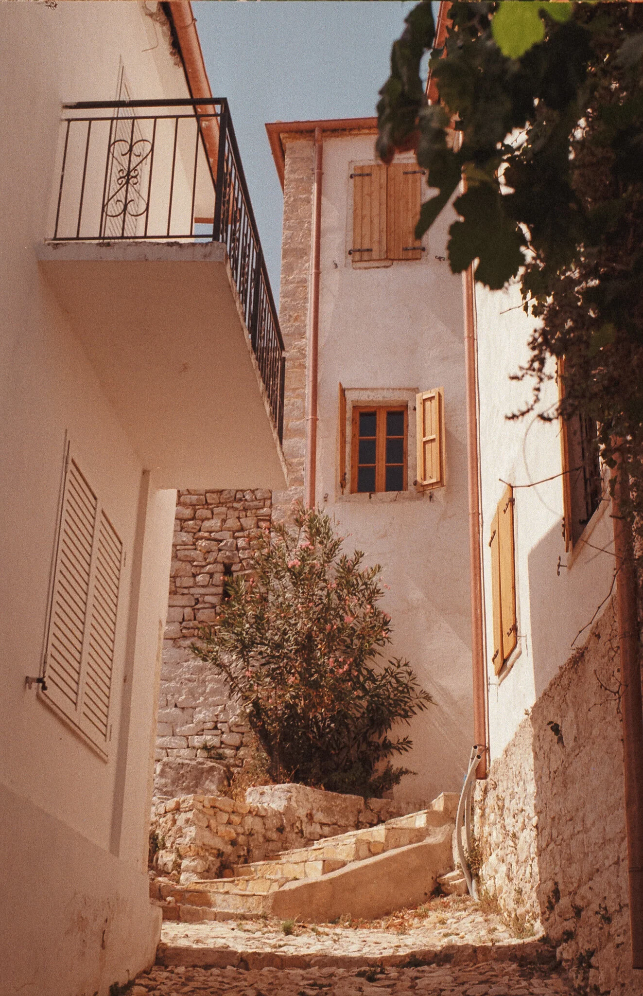 Film_928627_33.jpg