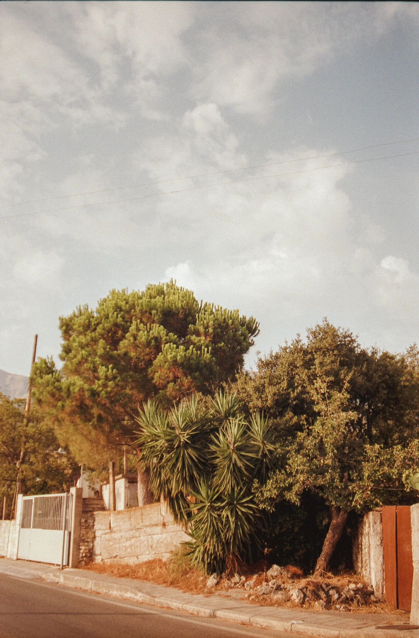 Film_928627_5.jpg