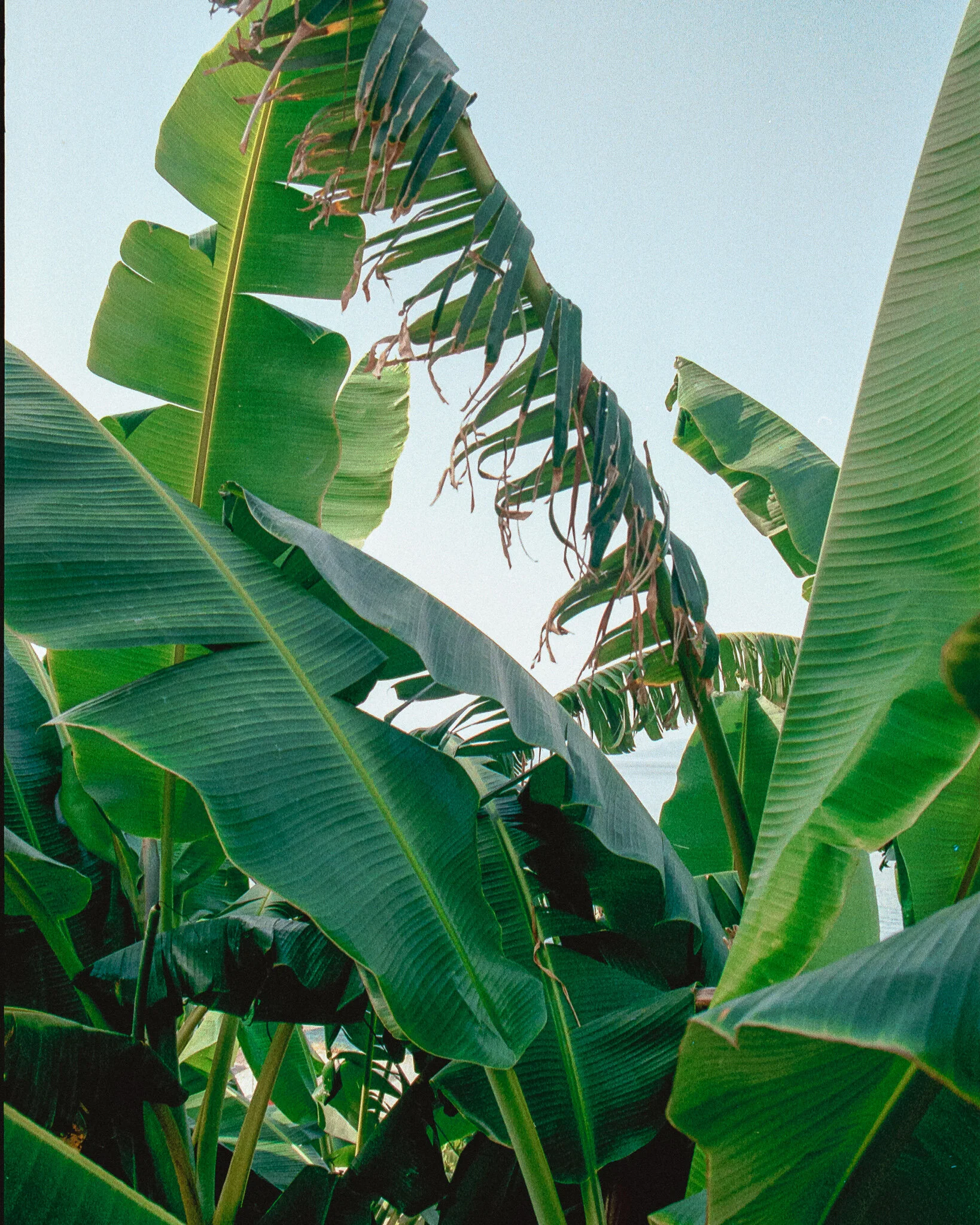 Film_928293_30.jpg