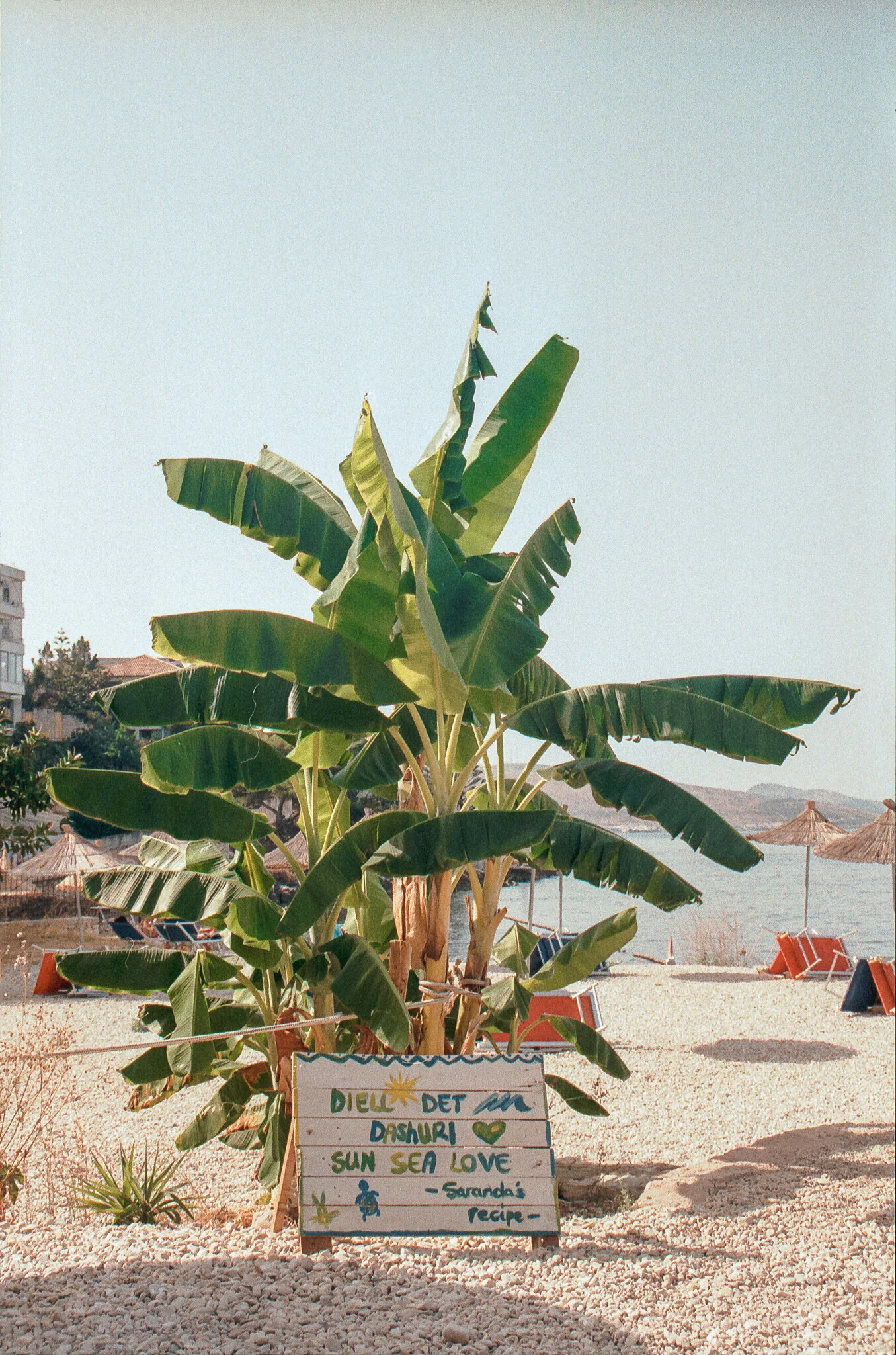 Film_928293_32.jpg