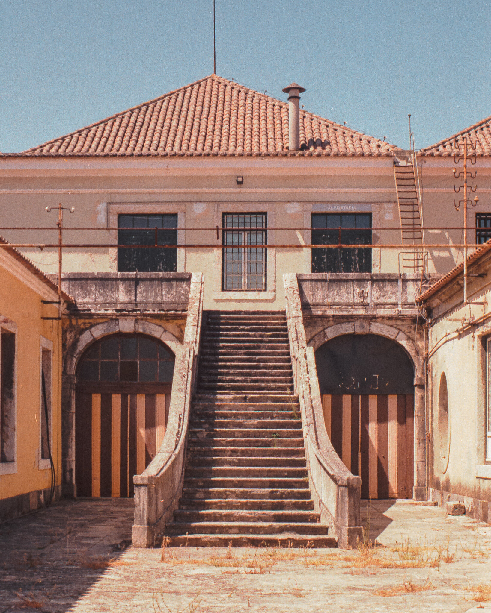 Film_928604_4.jpg