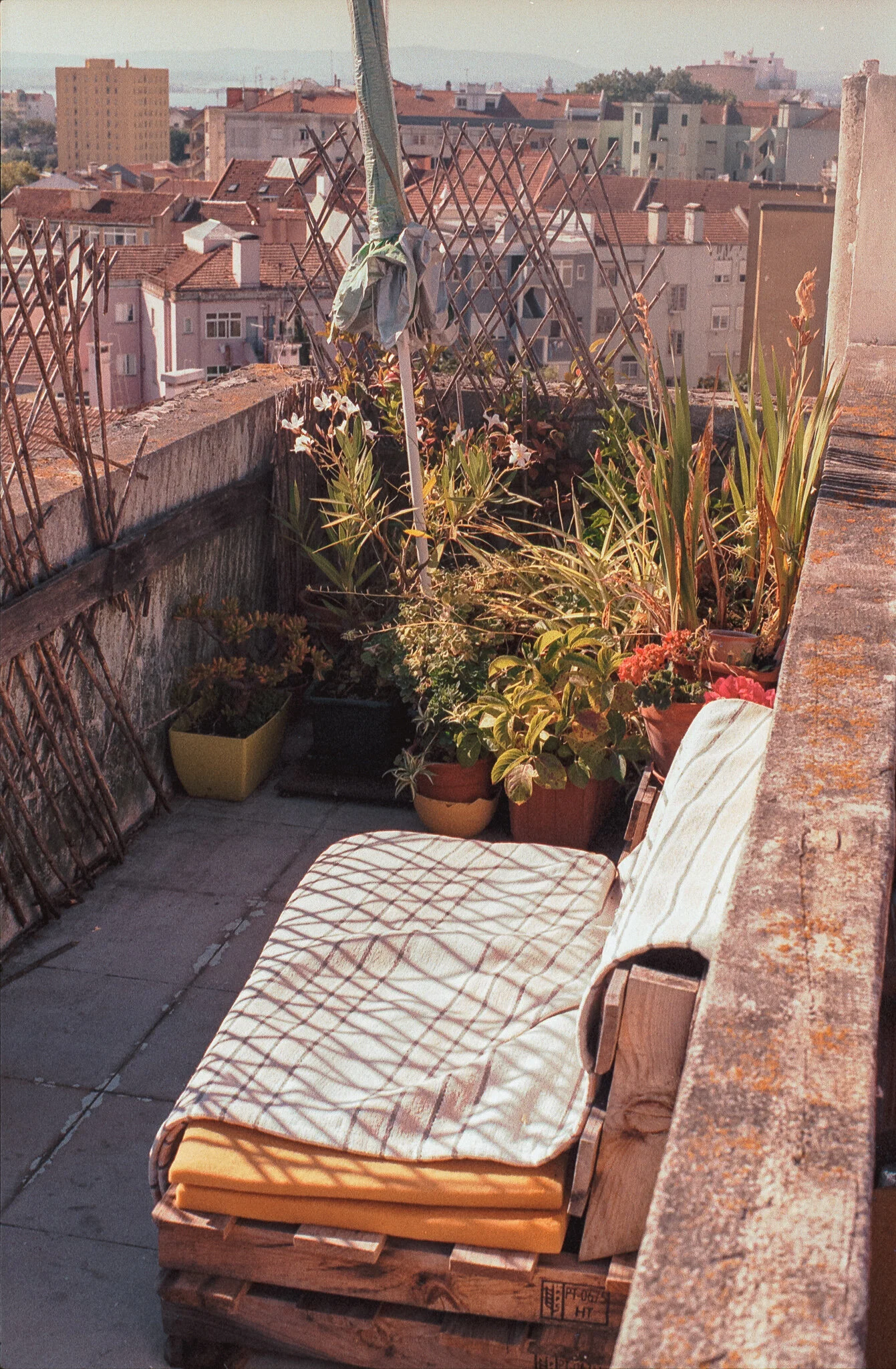 Film_928604_38 (2).jpg