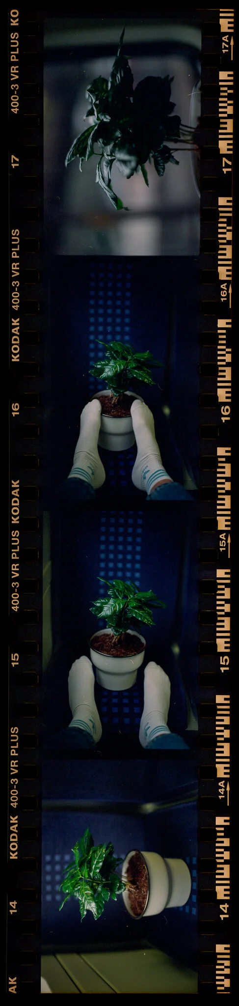 Film_954781_Strip_14_17.jpg