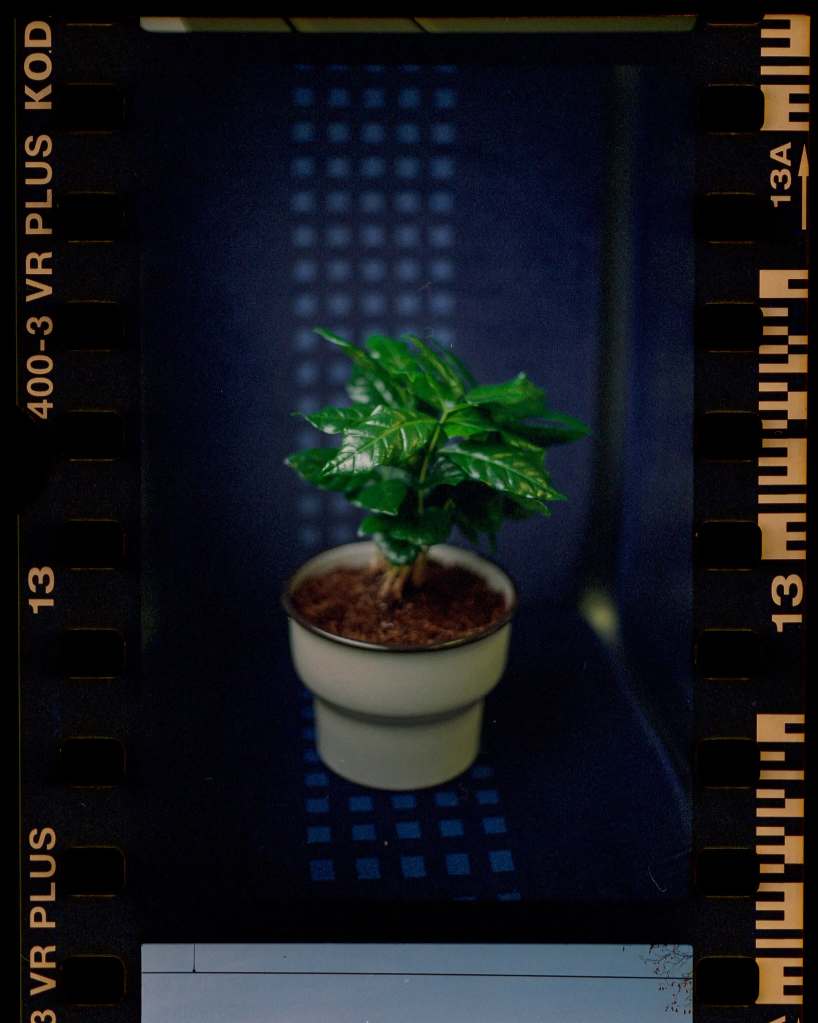 Film_954781_Strip_10_13.jpg