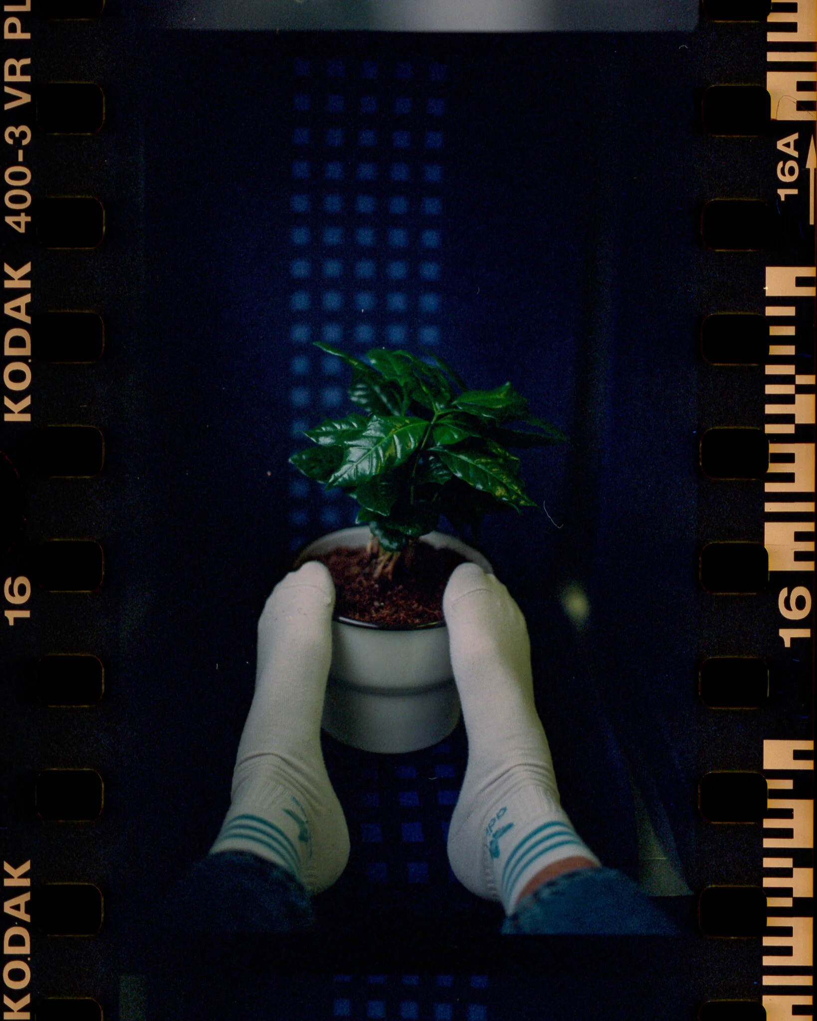 Film_954781_Strip_14_17-4.jpg