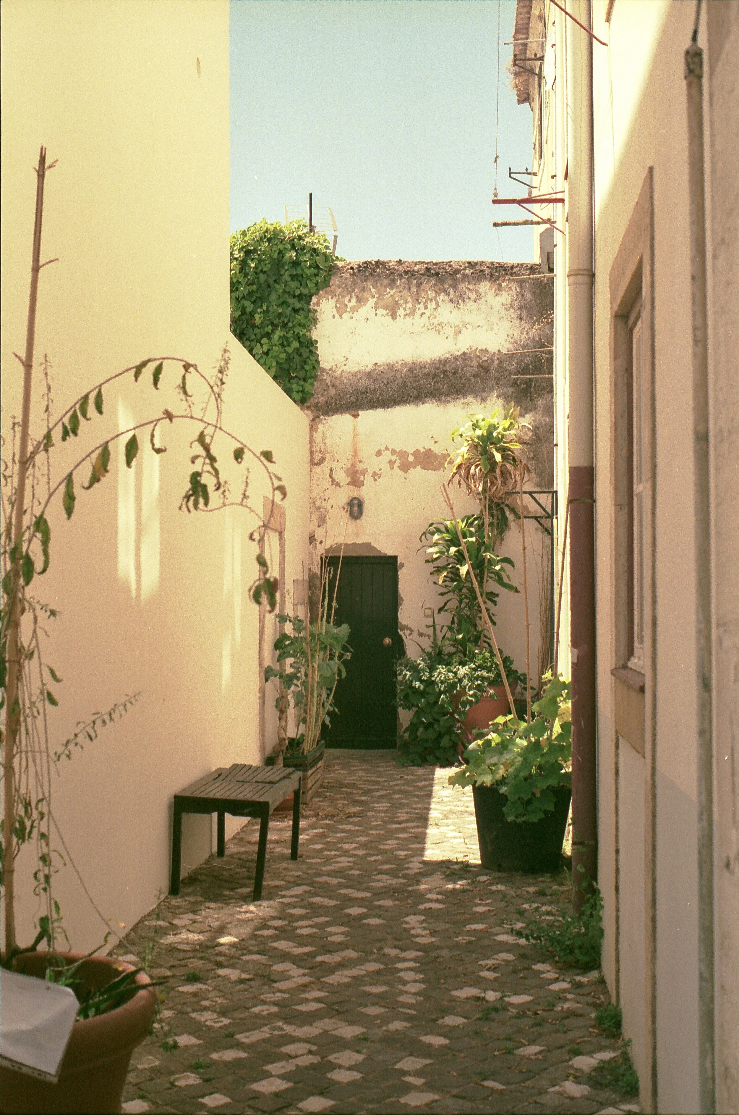 Film_928615_4.jpg