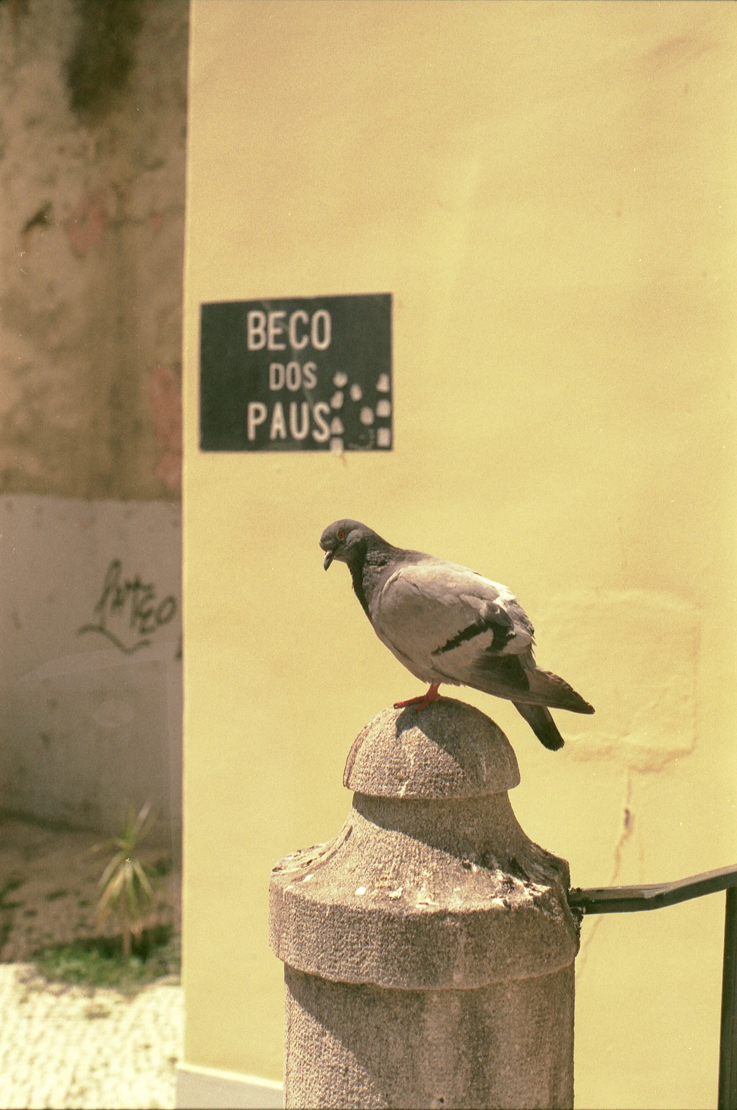 Film_928615_8.jpg