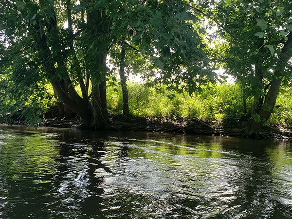 Sugar River Fun — Crazy Horse Campground