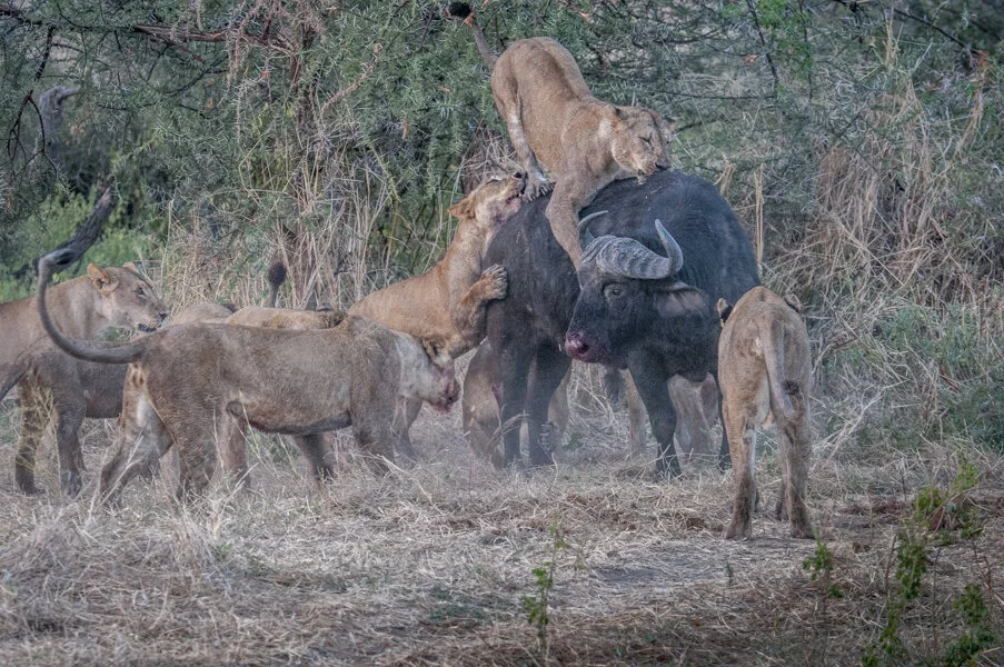 I’ll remember you standing amongst many enemies