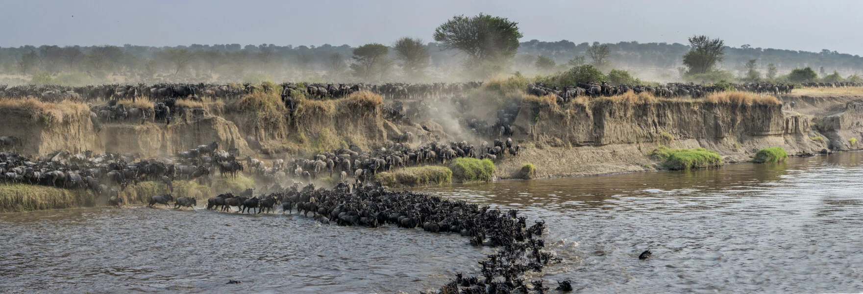 The grass is always greener on the other side