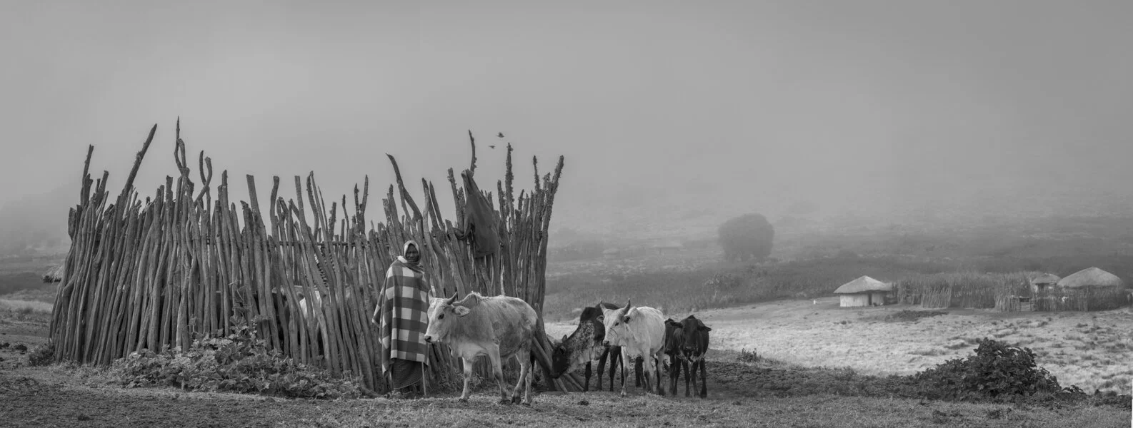 Maasai life part I