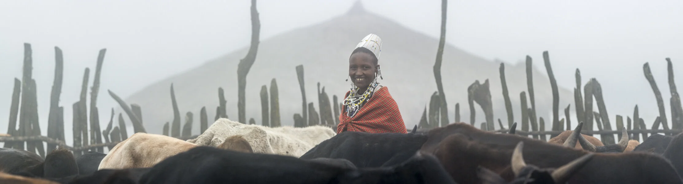 Maasai life part IV