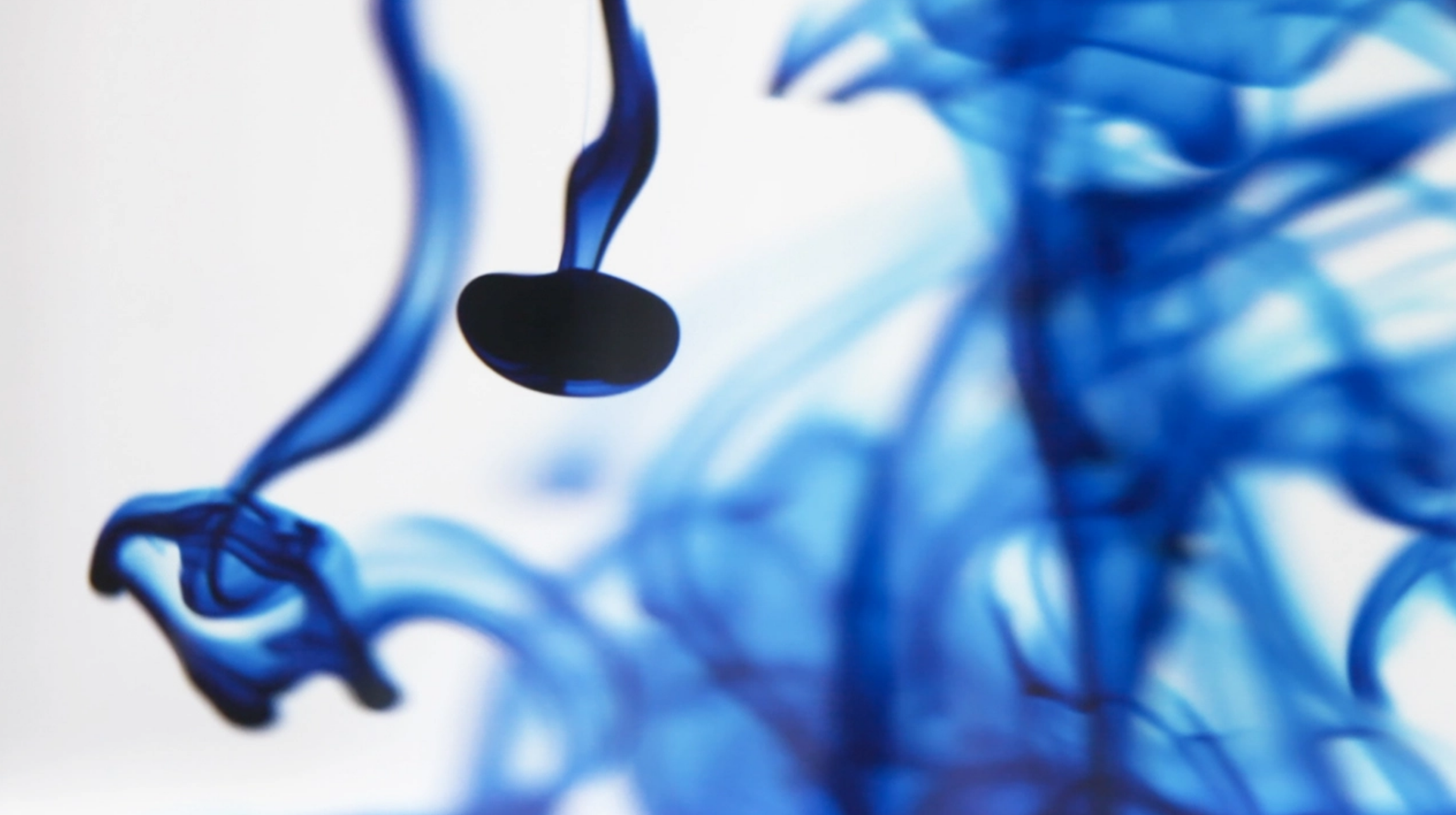 Screen Shot 2020-06-06 at 3.42.55 AM.png