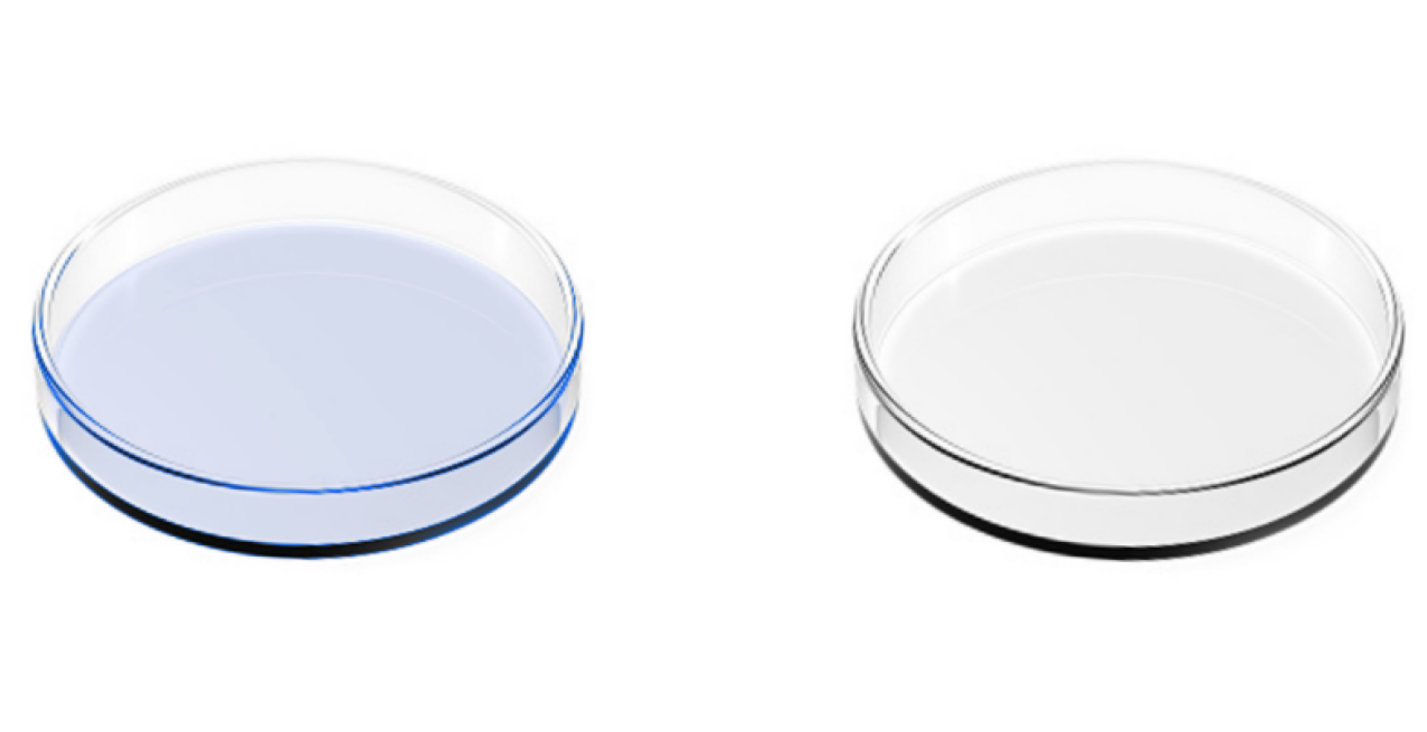 Screen Shot 2020-06-15 at 1.10.54 AM.png