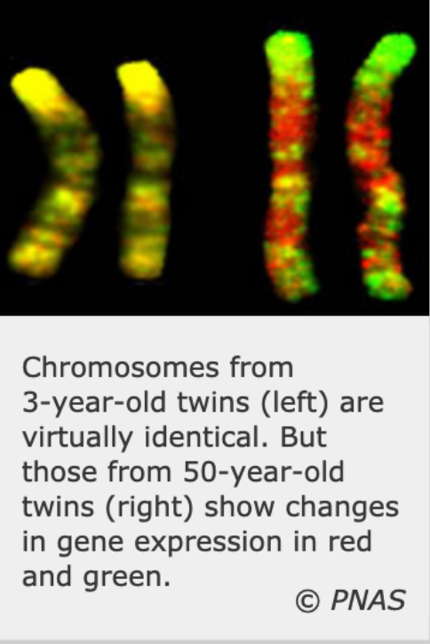 Screen Shot 2020-08-03 at 9.04.35 AM.png